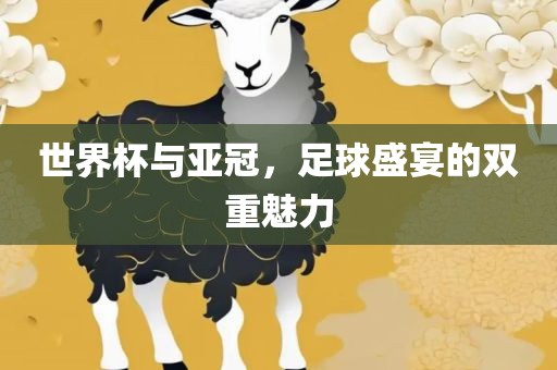 世界杯与亚冠，足球盛宴的双重魅力漯河市盈旭机械设备有限公司
