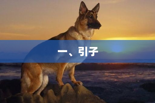 抖音热搜