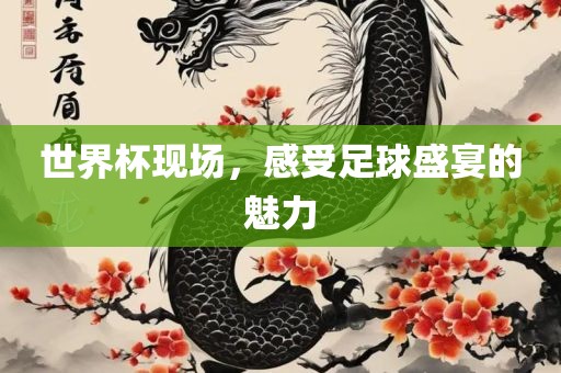 世界杯现场，感受足球盛宴的魅力