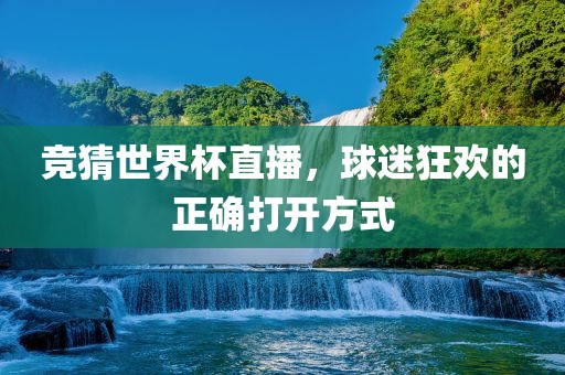 竞猜世界杯直播，球迷狂欢的正确打开方式