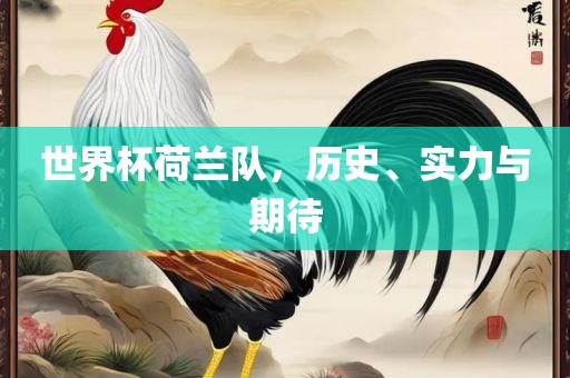 世界杯荷兰队，历史、实力与期待