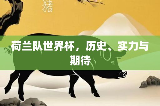 荷兰队世界杯，历史、实力与期待