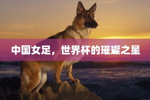 中国女足，世界杯的璀璨之星