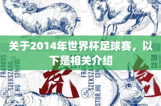 关于2014年世界杯足球赛，以下是相关介绍
