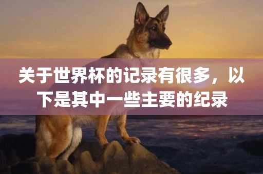 关于世界杯的记录有很多，以下是其中一些主要的纪录