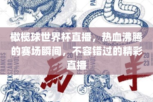 橄榄球世界杯直播，热血沸腾的赛场瞬间，不容错过的精彩直播