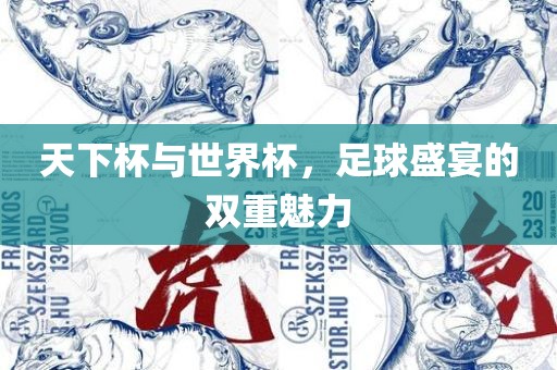 天下杯与世界杯，足球盛宴的双重魅力