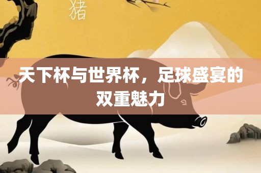 天下杯与世界杯，足球盛宴的双重魅力