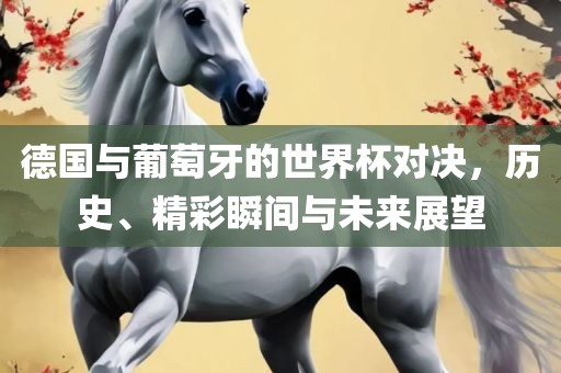 德国与葡萄牙的世界杯对决，历史、精彩瞬间与未来展望