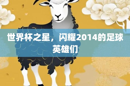 世界杯之星，闪耀2014的足球英雄们