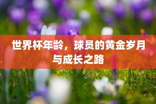 世界杯年龄，球员的黄金岁月与成长之路
