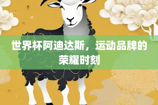 世界杯阿迪达斯，运动品牌的荣耀时刻