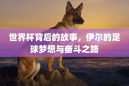 世界杯背后的故事，伊尔的足球梦想与奋斗之路
