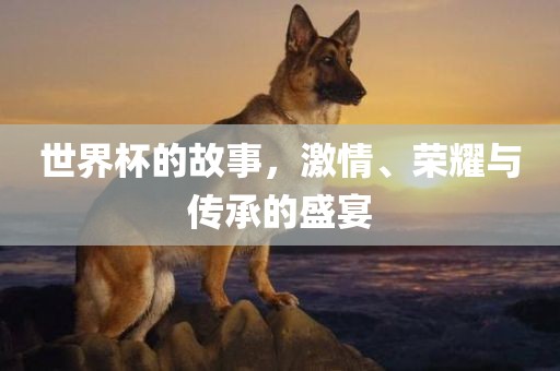 世界杯的故事，激情、荣耀与传承的盛宴