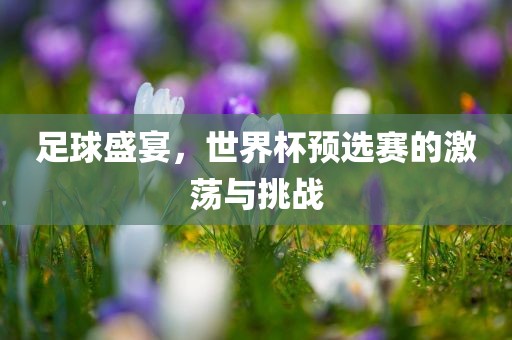 足球盛宴，世界杯预选赛的激荡与挑战