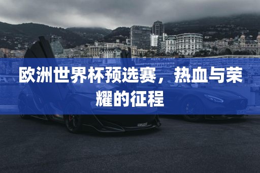 欧洲世界杯预选赛，热血与荣耀的征程
