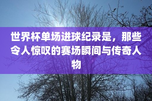 世界杯单场进球纪录是，那些令人惊叹的赛场瞬间与传奇人物