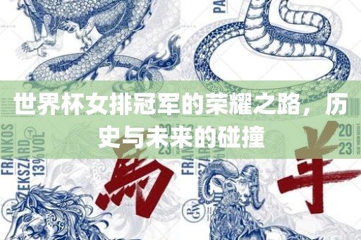 世界杯女排冠军的荣耀之路，历史与未来的碰撞