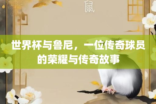 世界杯与鲁尼，一位传奇球员的荣耀与传奇故事