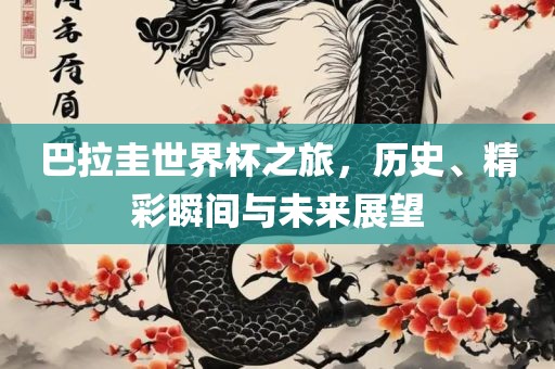巴拉圭世界杯之旅，历史、精彩瞬间与未来展望