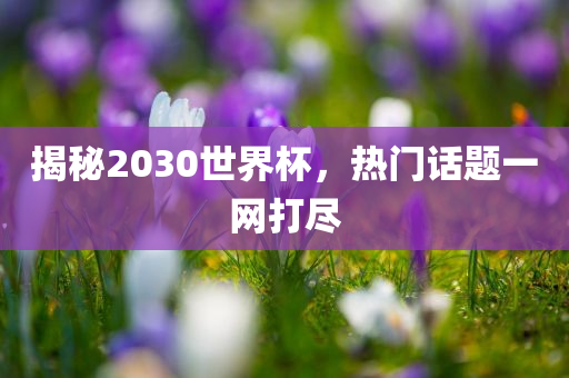 揭秘2030世界杯，热门话题一网打尽