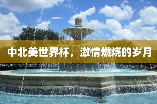 中北美世界杯，激情燃烧的岁月
