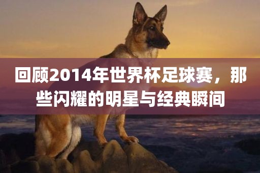 回顾2014年世界杯足球赛，那些闪耀的明星与经典瞬间