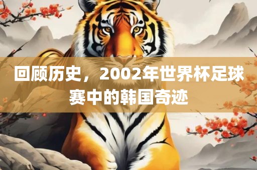 回顾历史，2002年世界杯足球赛中的韩国奇迹