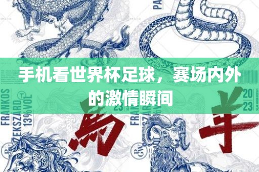 手机看世界杯足球，赛场内外的激情瞬间