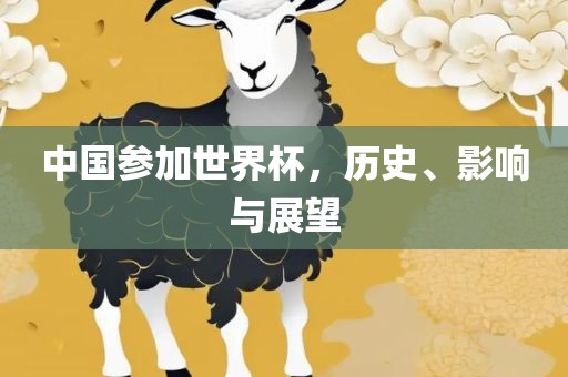 中国参加世界杯，历史、影响与展望