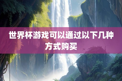 世界杯游戏可以通过以下几种方式购买