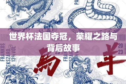 世界杯法国夺冠，荣耀之路与背后故事