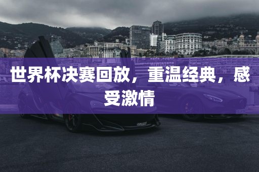 世界杯决赛回放，重温经典，感受激情