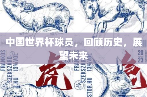 中国世界杯球员，回顾历史，展望未来