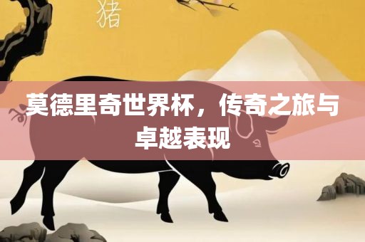 莫德里奇世界杯，传奇之旅与卓越表现