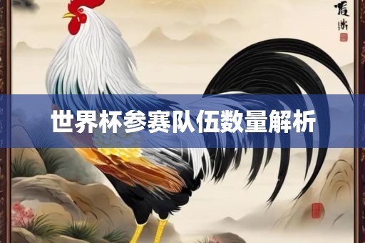 世界杯参赛队伍数量解析