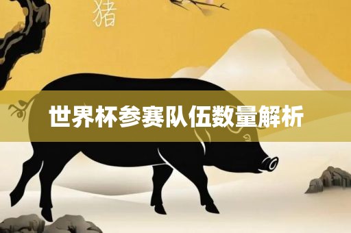 世界杯参赛队伍数量解析