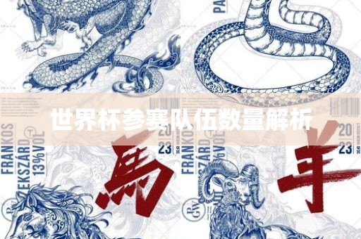 世界杯参赛队伍数量解析