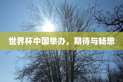 世界杯中国举办，期待与畅想