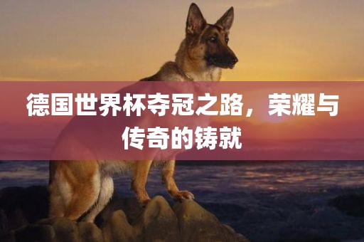 德国世界杯夺冠之路，荣耀与传奇的铸就