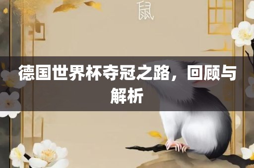 德国世界杯夺冠之路，回顾与解析