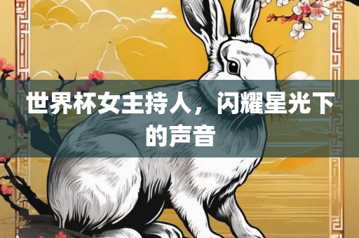 世界杯女主持人，闪耀星光下的声音