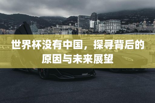 世界杯没有中国，探寻背后的原因与未来展望