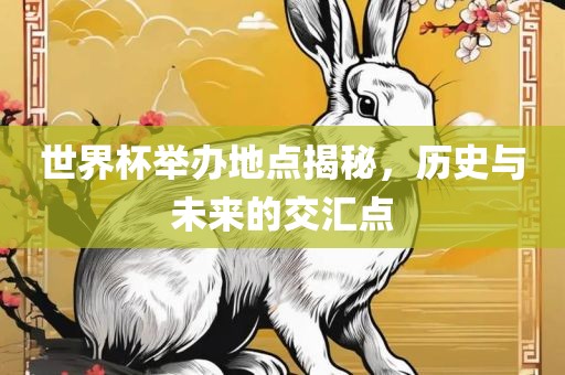 世界杯举办地点揭秘，历史与未来的交汇点