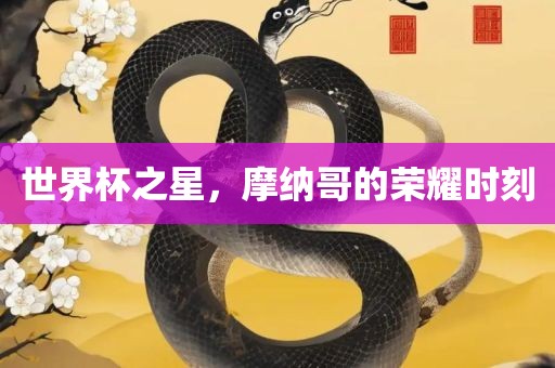 世界杯之星，摩纳哥的荣耀时刻