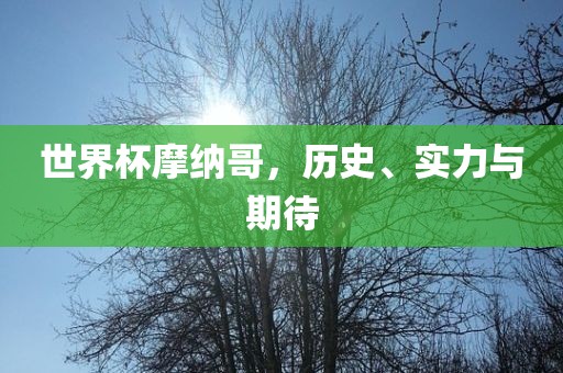世界杯摩纳哥，历史、实力与期待