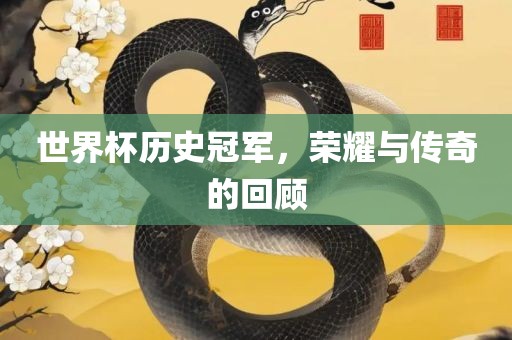 世界杯历史冠军，荣耀与传奇的回顾