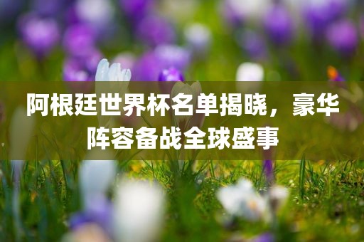 阿根廷世界杯名单揭晓，豪华阵容备战全球盛事