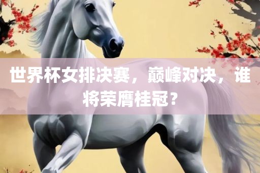 世界杯女排决赛，巅峰对决，谁将荣膺桂冠？