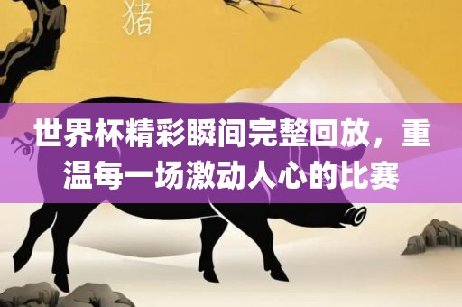 世界杯精彩瞬间完整回放，重温每一场激动人心的比赛